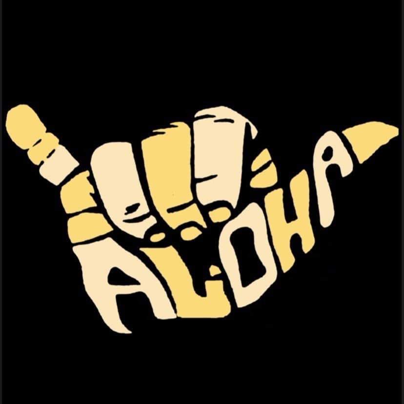 Aloha Outfit